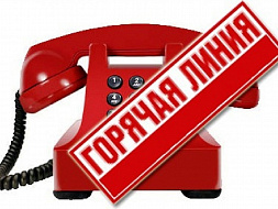Горячая линия по вопросам, связанным с коронавирусной инфекцией Горячая линия по вопросам, связанным с коронавирусной инфекцией